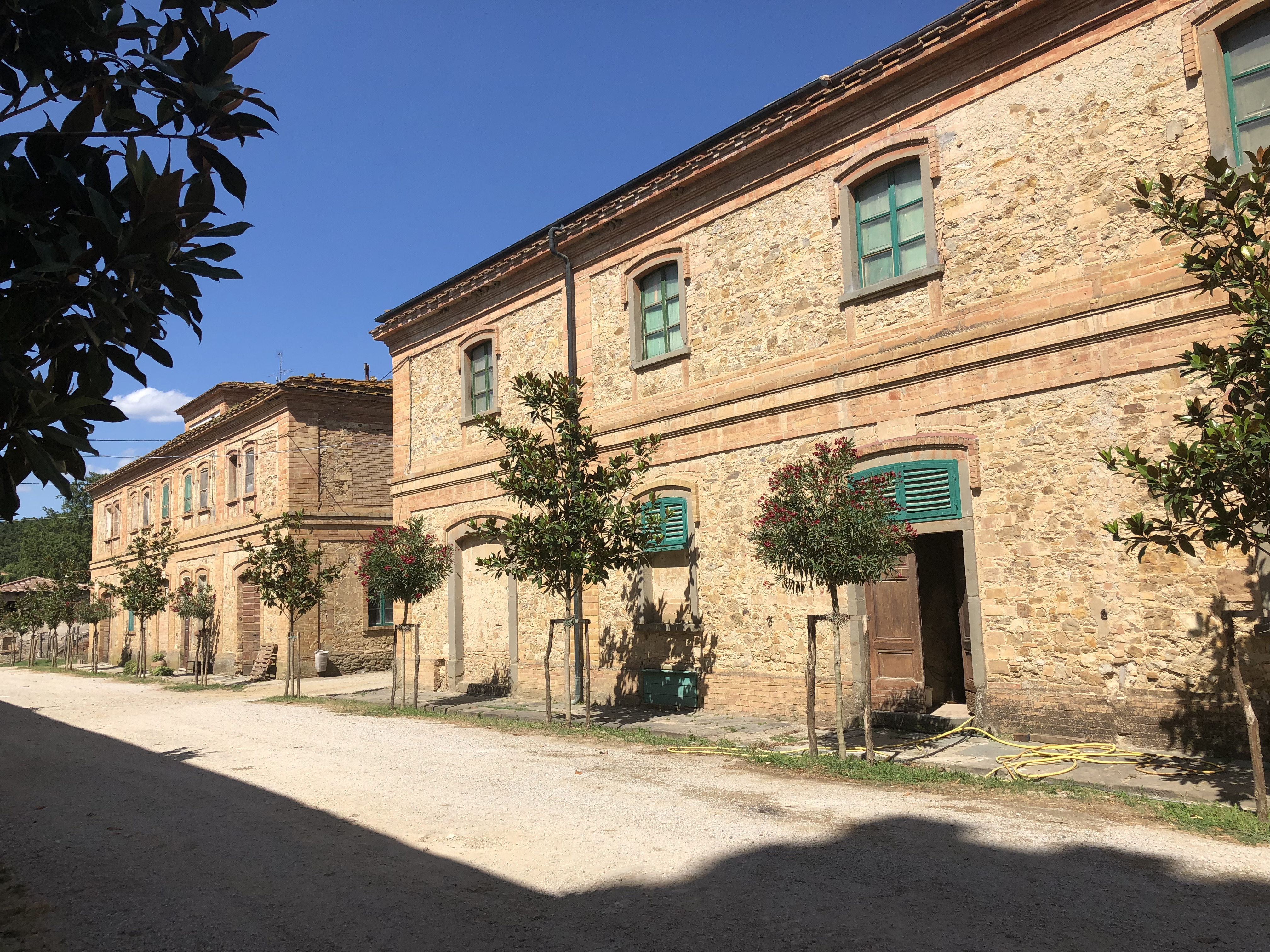 Élevage en liberté6